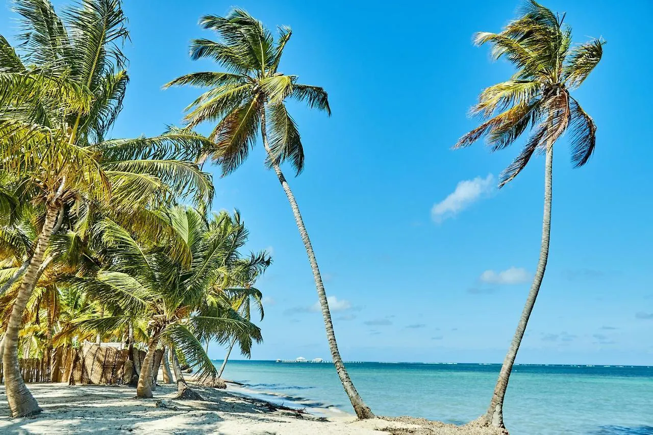 Las Terrazas Condo Punta Cana Beach - Los Corales Village Dominican Republic